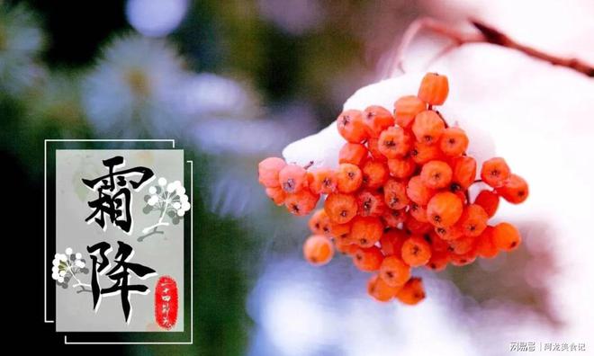 多吃3红2白少吃2绿合理饮食顺利入冬凯发k8登录vip霜降来临要懂得忌嘴(图6)