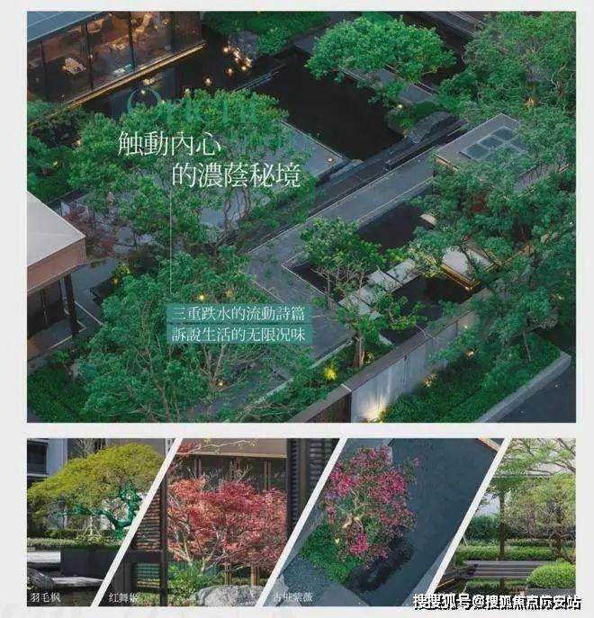 楼处)网站--楼盘测评-上海房天下K8凯发·国际网站保利海上瑧悦(售(图5)
